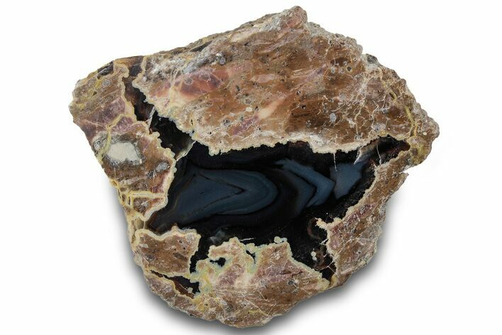 Polished Friend Ranch Thunderegg Half - Oregon #315266